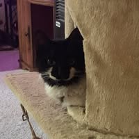 Tracey Welch's profile image