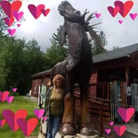 Ann Elizabeth's profile image