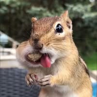 Kim Hammond's profile image