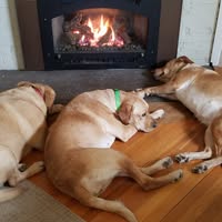 Dan White's profile image