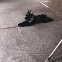 Glenn Young's profile image