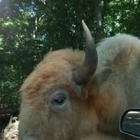 William Barre's profile image