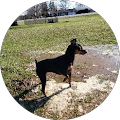 Craig Schmit's Profile Image