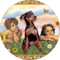 Nancy Giammusso's Profile Image