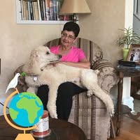 Florence Riccardi's profile image