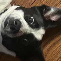 Brendan Forbes's profile image