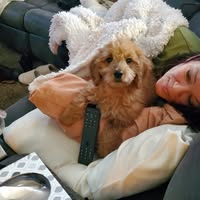 Tracy Hartdorn's profile image