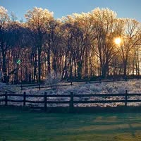 Kyle David's profile image