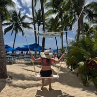 Katie Stepikura's profile image