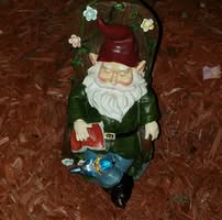 Bernard W Gustafson's profile image