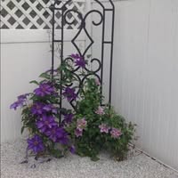 Bonnie Bustard Peer's profile image