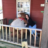 Giulietta Passarelli's profile image