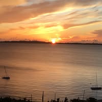 Elizabeth Martinez's profile image