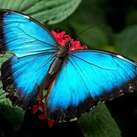 Lori Cierpial-prignano's profile image