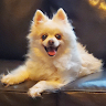 Letty S.'s profile image