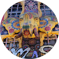 Teresa Evans's Profile Image