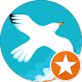 George Trim's Profile Image