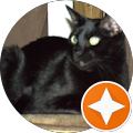 Matthew Simmons's Profile Image