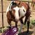 Tasha White's profile image