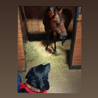 Beth Wallace-lake's profile image