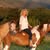Sandra J. Fletcher's profile image