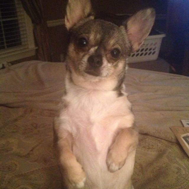 Danielle D.'s profile image