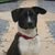 Sadie Sidwell's profile image