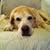 Rebecca Mancil's profile image
