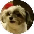 Andy Luong's Profile Image