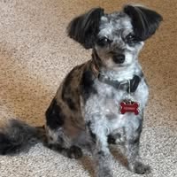 Joyce Elaine Miller's profile image
