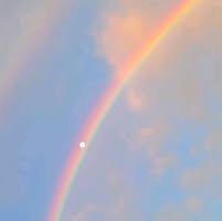 Sylvia York's profile image