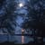 Julie Duranleau-Fugett's profile image