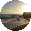 Marilyn Love's Profile Image