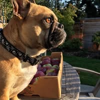 Beverly Bailey's profile image