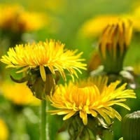 Merrye Bakker's profile image