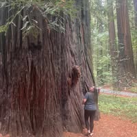 Christine Ann's profile image