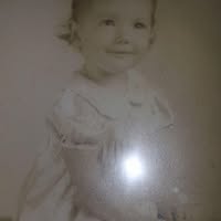 Maxine Newcomb's profile image