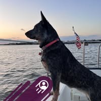 Eric Hathaway's profile image