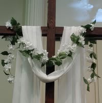 Cindy Villarreal's profile image