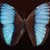 Robert Michael L.'s profile image