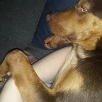 Tamara Bell's profile image