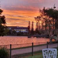 Kim Moroney's profile image