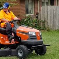 Lorraine Schneider's profile image