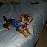 Tricia J.'s profile image