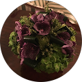 Diana Fortin's Profile Image