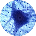 T's Profile Image