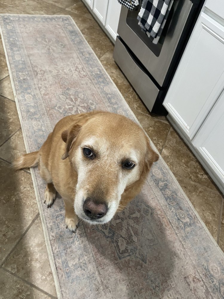 Christopher M.'s profile image