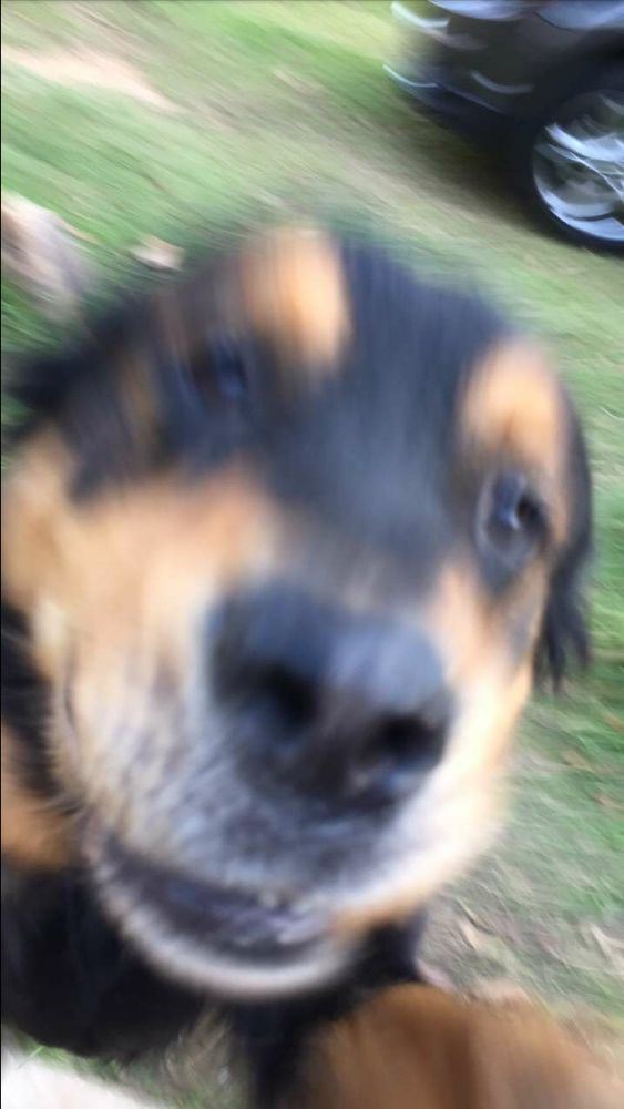 Ethan R.'s profile image