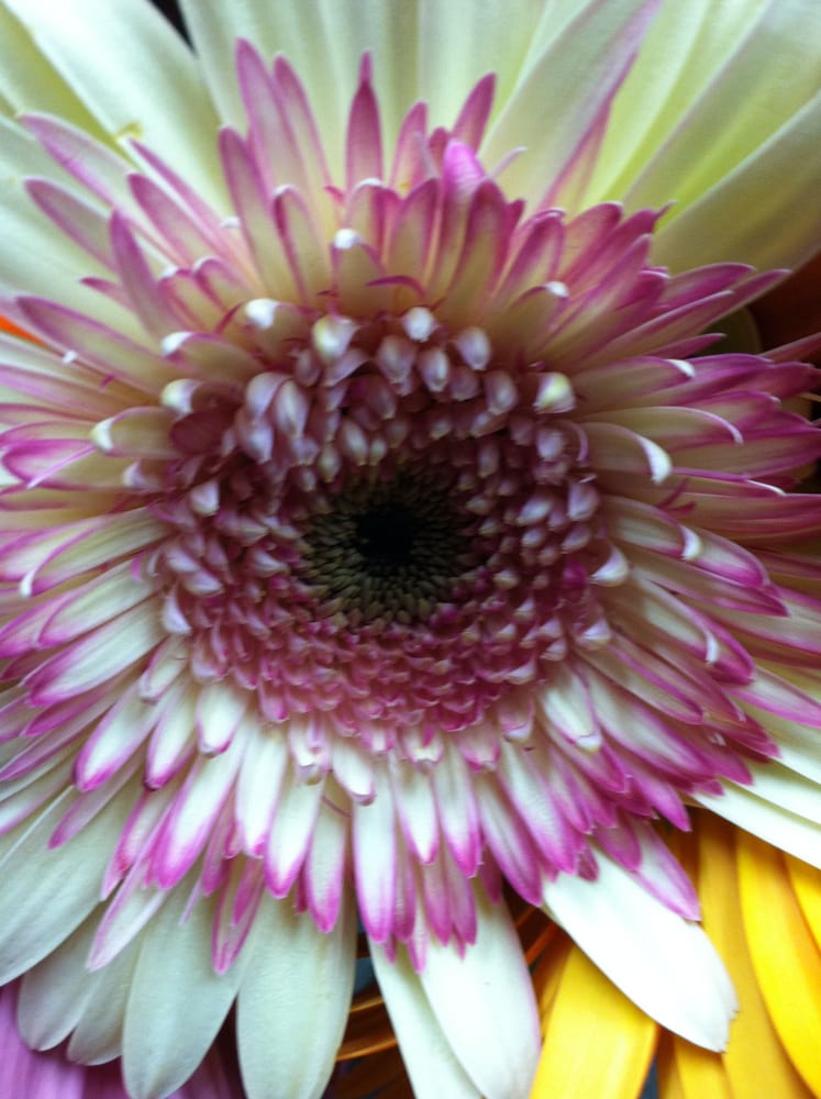 Kim R.'s profile image