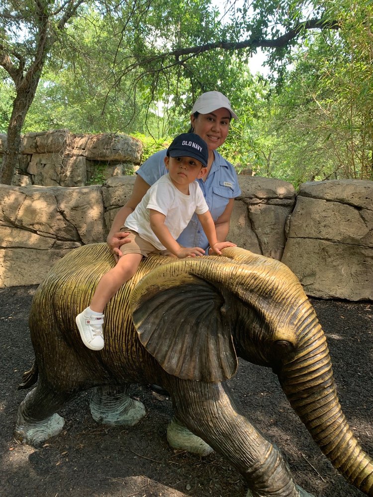 Elvira C.'s profile image